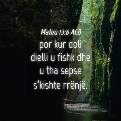 Picture 04 - Mateu 13:6 ALB - por kur doli dielli u fishk dhe u tha sepse - Bible Verse Picture