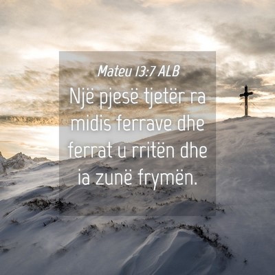 Picture 04 - Mateu 13:7 ALB - Një pjesë tjetër ra midis ferrave dhe ferrat u - Bible Verse Picture