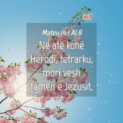 Picture 04 - Mateu 14:1 ALB - Në atë kohë Herodi, tetrarku, mori vesh famën - Bible Verse Picture