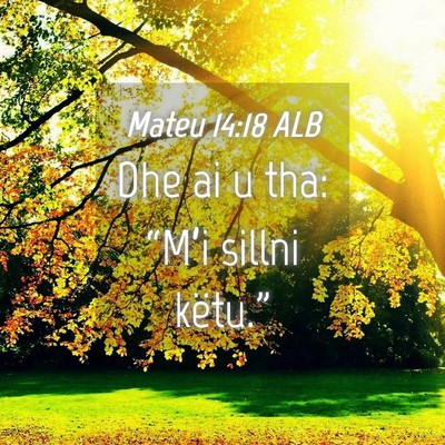 Picture 04 - Mateu 14:18 ALB - Dhe ai u tha: “M’i sillni - Bible Verse Picture