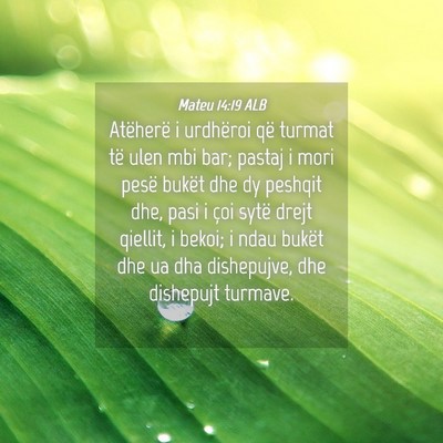 Picture 04 - Mateu 14:19 ALB - Atëherë i urdhëroi që turmat të ulen mbi - Bible Verse Picture