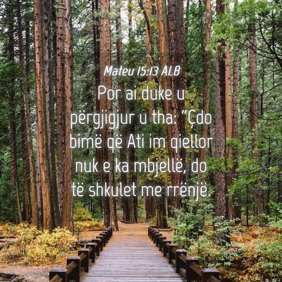 Picture 04 - Mateu 15:13 ALB - Por ai duke u përgjigjur u tha: “Çdo bimë - Bible Verse Picture