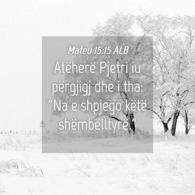 Picture 04 - Mateu 15:15 ALB - Atëherë Pjetri iu përgjigj dhe i tha: “Na e - Bible Verse Picture