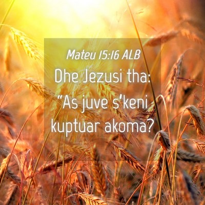 Picture 04 - Mateu 15:16 ALB - Dhe Jezusi tha: “As juve s’keni kuptuar - Bible Verse Picture