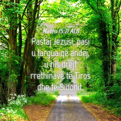 Picture 04 - Mateu 15:21 ALB - Pastaj Jezusi, pasi u largua që andej, u nis - Bible Verse Picture