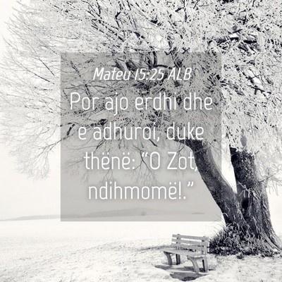 Picture 04 - Mateu 15:25 ALB - Por ajo erdhi dhe e adhuroi, duke thënë: “O - Bible Verse Picture