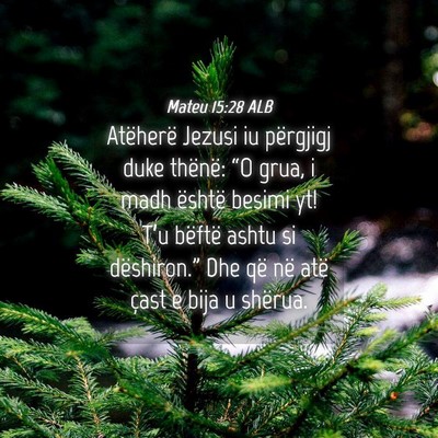 Picture 04 - Mateu 15:28 ALB - Atëherë Jezusi iu përgjigj duke thënë: “O - Bible Verse Picture