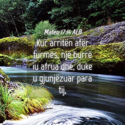 Picture 04 - Mateu 17:14 ALB - Kur arritën afër turmës, një burrë iu afrua - Bible Verse Picture