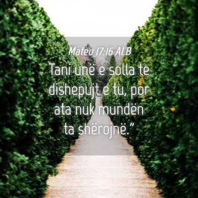 Picture 04 - Mateu 17:16 ALB - Tani unë e solla te dishepujt e tu, por ata nuk - Bible Verse Picture