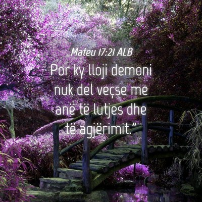 Picture 04 - Mateu 17:21 ALB - Por ky lloji demoni nuk del veçse me anë të - Bible Verse Picture