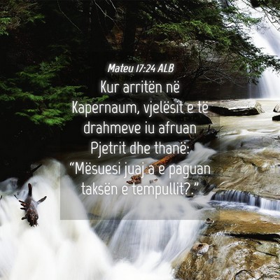 Picture 04 - Mateu 17:24 ALB - Kur arritën në Kapernaum, vjelësit e të - Bible Verse Picture