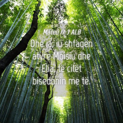 Picture 04 - Mateu 17:3 ALB - Dhe ja, iu shfaqën atyre Moisiu dhe Elia, të - Bible Verse Picture