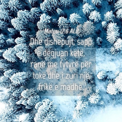 Picture 04 - Mateu 17:6 ALB - Dhe dishepujt, sapo e dëgjuan këtë, ranë me - Bible Verse Picture