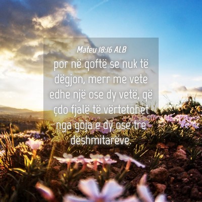 Picture 04 - Mateu 18:16 ALB - por në qoftë se nuk të dëgjon, merr me vete - Bible Verse Picture