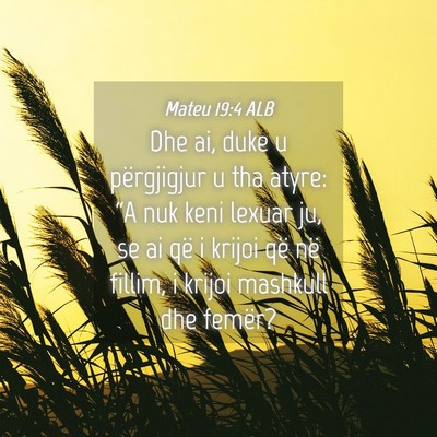 Picture 04 - Mateu 19:4 ALB - Dhe ai, duke u përgjigjur u tha atyre: “A nuk - Bible Verse Picture