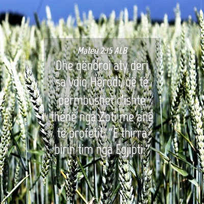 Picture 04 - Mateu 2:15 ALB - Dhe qëndroi aty deri sa vdiq Herodi, që të - Bible Verse Picture