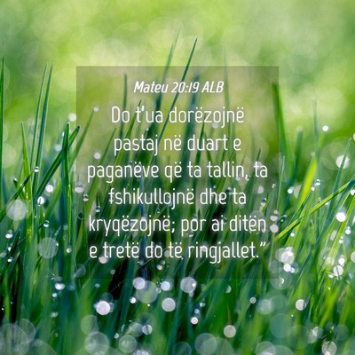 Picture 04 - Mateu 20:19 ALB - Do t’ua dorëzojnë pastaj në duart e - Bible Verse Picture