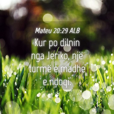 Picture 04 - Mateu 20:29 ALB - Kur po dilnin nga Jeriko, një turmë e madhe e - Bible Verse Picture