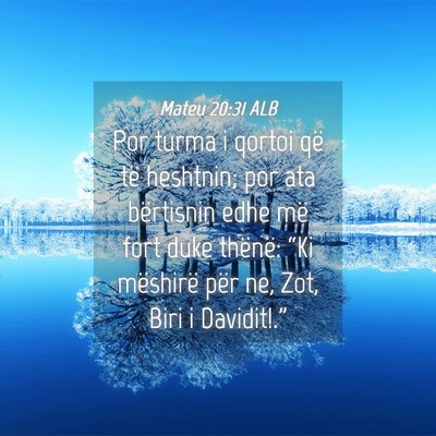 Picture 04 - Mateu 20:31 ALB - Por turma i qortoi që të heshtnin; por ata - Bible Verse Picture
