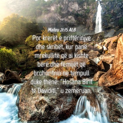 Picture 04 - Mateu 21:15 ALB - Por krerët e priftërinjve dhe skribët, kur - Bible Verse Picture