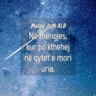 Picture 04 - Mateu 21:18 ALB - Në mëngjes, kur po kthehej në qytet e mori - Bible Verse Picture