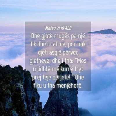Picture 04 - Mateu 21:19 ALB - Dhe gjatë rrugës pa një fik dhe iu afrua, por - Bible Verse Picture
