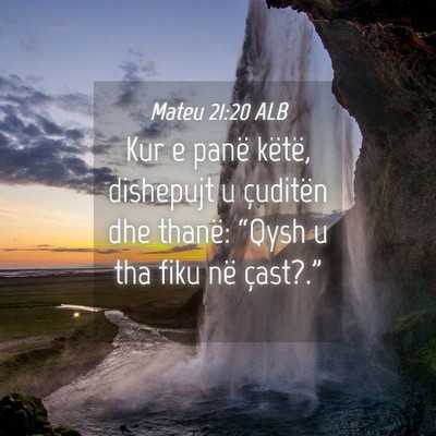 Picture 04 - Mateu 21:20 ALB - Kur e panë këtë, dishepujt u çuditën dhe - Bible Verse Picture