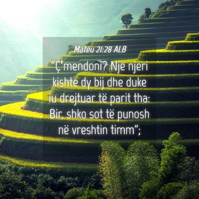 Picture 04 - Mateu 21:28 ALB - “Ç’mendoni? Një njeri kishte dy bij dhe - Bible Verse Picture