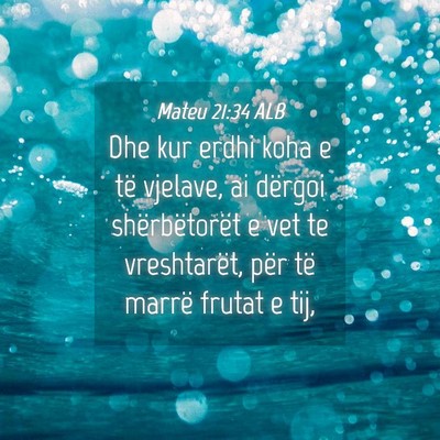 Picture 04 - Mateu 21:34 ALB - Dhe kur erdhi koha e të vjelave, ai dërgoi - Bible Verse Picture