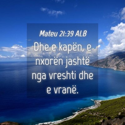 Picture 04 - Mateu 21:39 ALB - Dhe e kapën, e nxorën jashtë nga vreshti dhe e - Bible Verse Picture