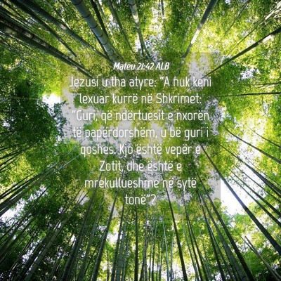 Picture 04 - Mateu 21:42 ALB - Jezusi u tha atyre: “A nuk keni lexuar kurrë - Bible Verse Picture