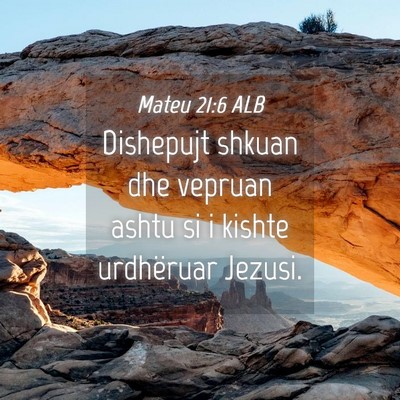 Picture 04 - Mateu 21:6 ALB - Dishepujt shkuan dhe vepruan ashtu si i kishte - Bible Verse Picture