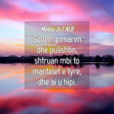 Picture 04 - Mateu 21:7 ALB - Sollën gomaren dhe pulishtin, shtruan mbi to - Bible Verse Picture