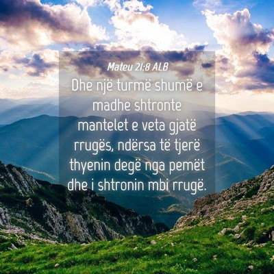 Picture 04 - Mateu 21:8 ALB - Dhe një turmë shumë e madhe shtronte mantelet - Bible Verse Picture