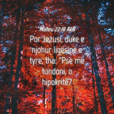 Picture 04 - Mateu 22:18 ALB - Por Jezusi, duke e njohur ligësinë e tyre, tha: - Bible Verse Picture