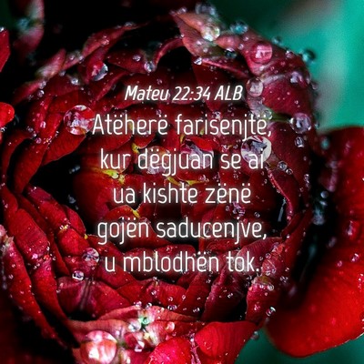 Picture 04 - Mateu 22:34 ALB - Atëherë farisenjtë, kur dëgjuan se ai ua - Bible Verse Picture