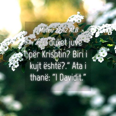 Picture 04 - Mateu 22:42 ALB - “Ç’u duket juve për Krishtin? Biri i kujt - Bible Verse Picture