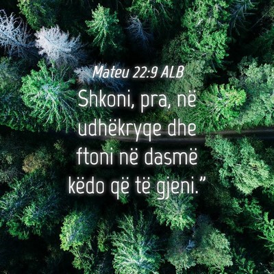 Picture 04 - Mateu 22:9 ALB - Shkoni, pra, në udhëkryqe dhe ftoni në dasmë - Bible Verse Picture