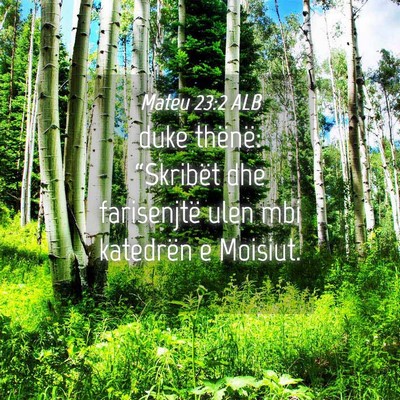Picture 04 - Mateu 23:2 ALB - duke thënë: “Skribët dhe farisenjtë ulen - Bible Verse Picture