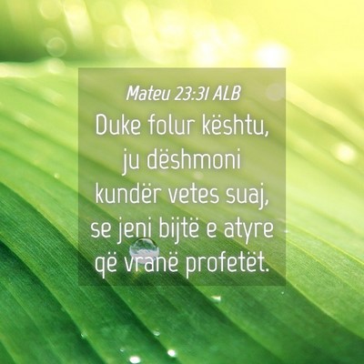 Picture 04 - Mateu 23:31 ALB - Duke folur kështu, ju dëshmoni kundër vetes - Bible Verse Picture