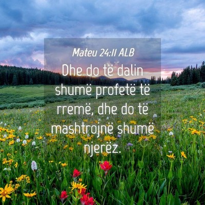 Picture 04 - Mateu 24:11 ALB - Dhe do të dalin shumë profetë të rremë, dhe - Bible Verse Picture