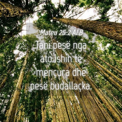 Picture 04 - Mateu 25:2 ALB - Tani pesë nga ato ishin të mençura dhe pesë - Bible Verse Picture