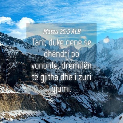 Picture 04 - Mateu 25:5 ALB - Tani, duke qenë se dhëndri po vononte, - Bible Verse Picture
