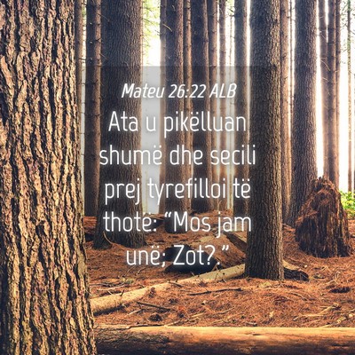 Picture 04 - Mateu 26:22 ALB - Ata u pikëlluan shumë dhe secili prej - Bible Verse Picture
