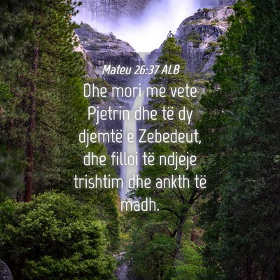 Picture 04 - Mateu 26:37 ALB - Dhe mori me vete Pjetrin dhe të dy djemtë e - Bible Verse Picture