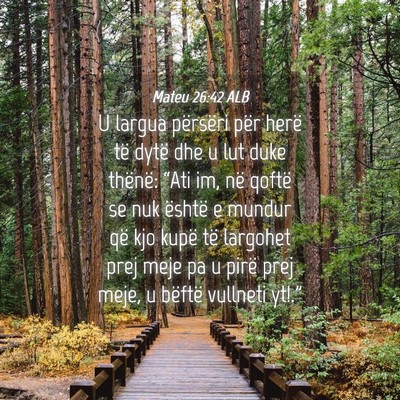 Picture 04 - Mateu 26:42 ALB - U largua përsëri për herë të dytë dhe u lut - Bible Verse Picture