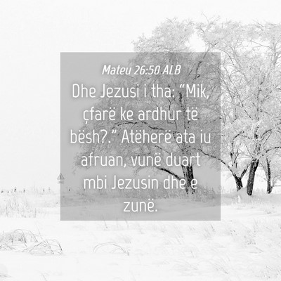 Picture 04 - Mateu 26:50 ALB - Dhe Jezusi i tha: “Mik, çfarë ke ardhur të - Bible Verse Picture
