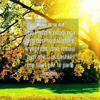Picture 04 - Mateu 26:58 ALB - Dhe Pjetri e ndoqi nga larg deri në pallatin e - Bible Verse Picture