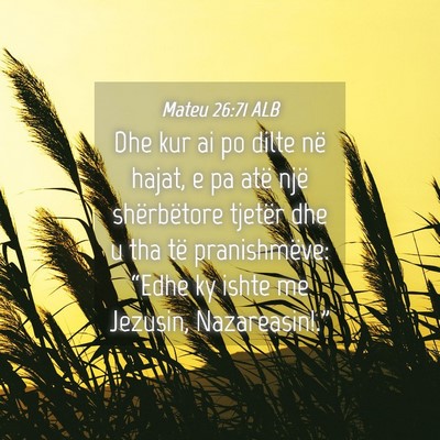 Picture 04 - Mateu 26:71 ALB - Dhe kur ai po dilte në hajat, e pa atë një - Bible Verse Picture