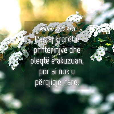 Picture 04 - Mateu 27:12 ALB - Pastaj krerët e priftërinjve dhe pleqtë e - Bible Verse Picture
